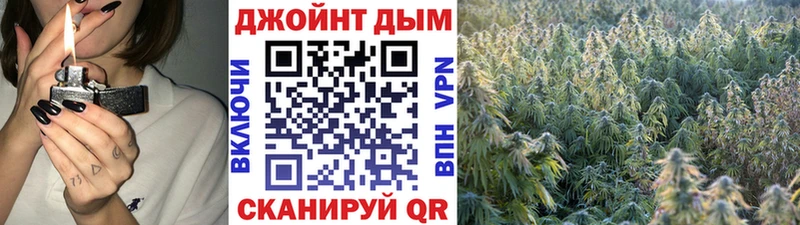 Каннабис сатива  Купить где  Сокол 